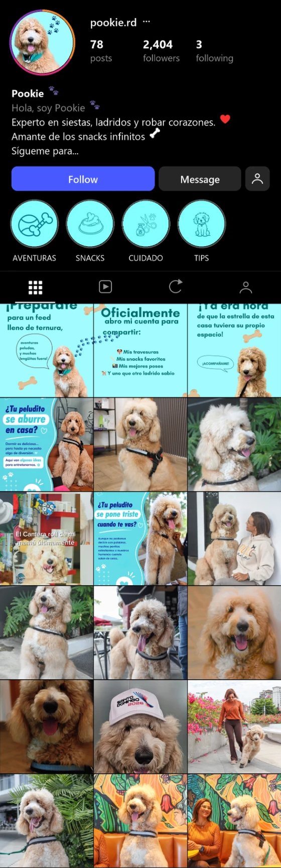 Feed de Instagram de Pookie