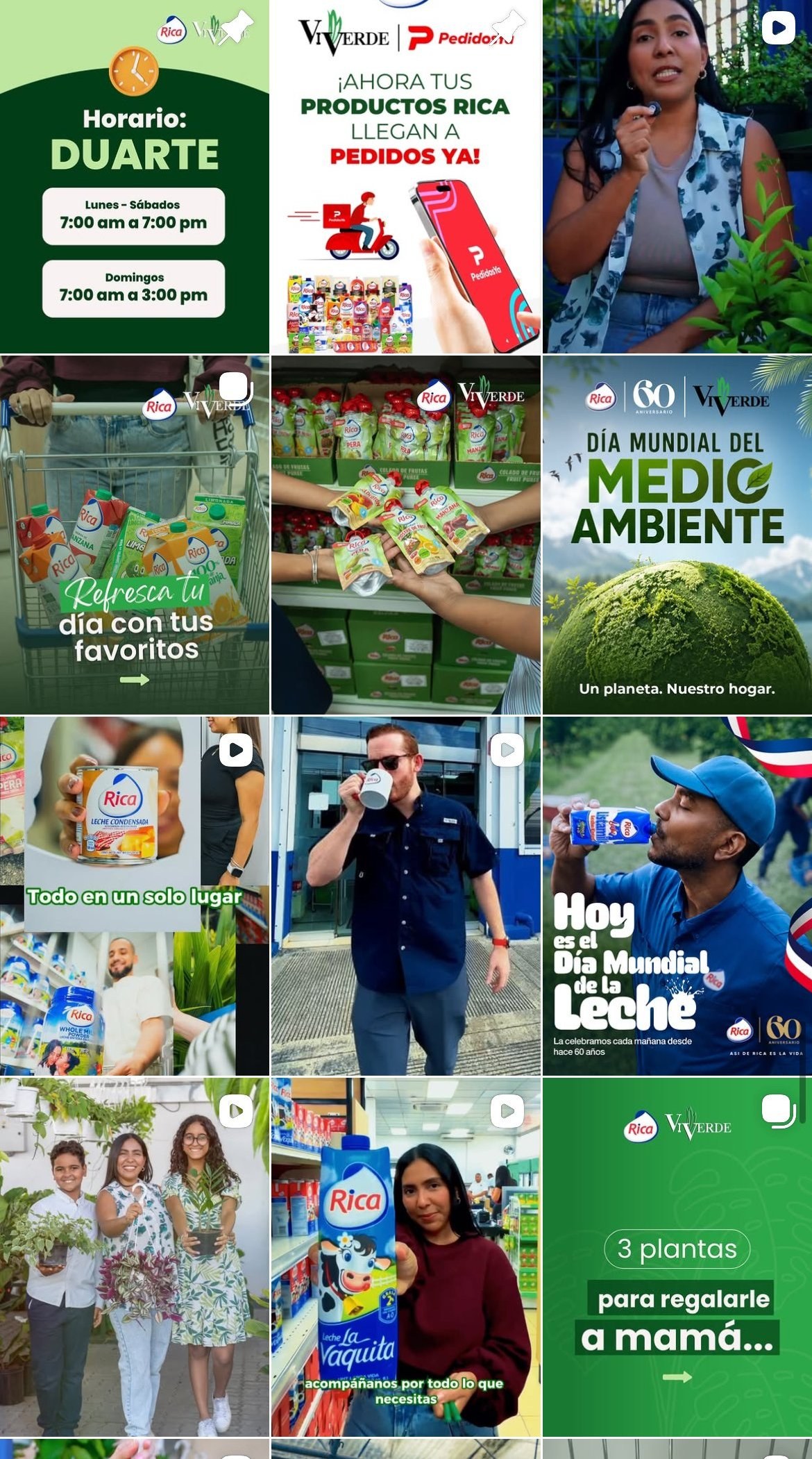 Feed de Instagram de Viverde